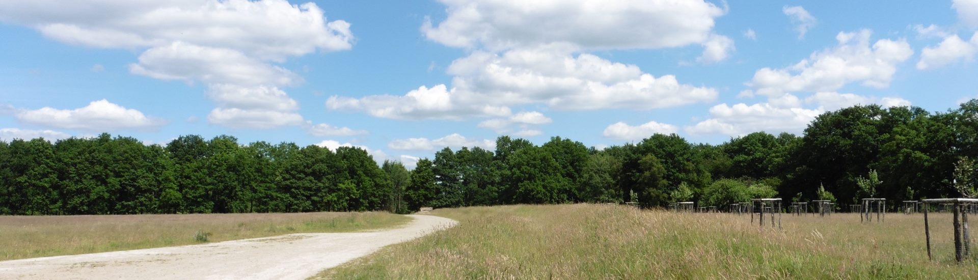 immobilienmakler-wentorf-10