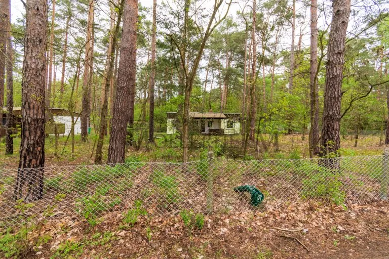 Moellerherm Immobilien - Immobilienangebot - Zossen - Alle - Wohnen zwischen Wald, Wasser & Stadt - Zwei Ferienhäuser im Grünen