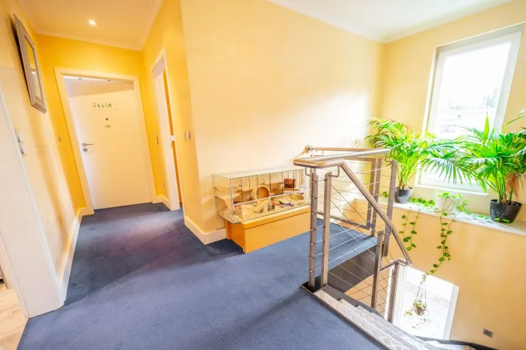 Moellerherm Immobilien - Immobilienangebot - Lübeck - Alle - Rundherum besonders - Außergewöhnliches Einfamilienhaus in Lübeck-St. Gertrud