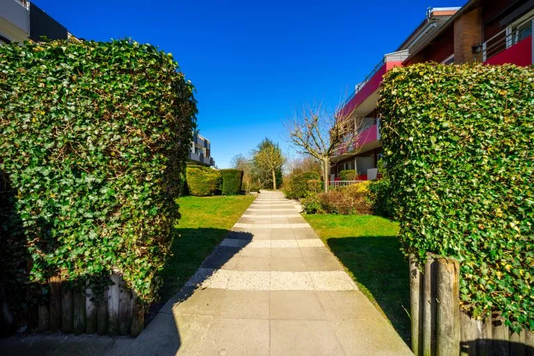 Moellerherm Immobilien - Immobilienangebot - Timmendorfer Strand - Alle - Wohnen wie im Urlaub- Wohnung mit besonderem Komfort in Timmendorfer Strand