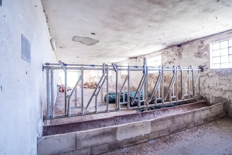 Moellerherm Immobilien - Immobilienangebot - Grabau - Alle - Landwirtschaftlich geprägte Hofstelle mit umfangreichen Nutzflächen und vielseitigen Möglichkeiten