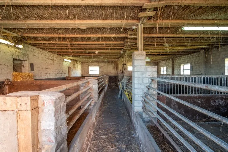 Moellerherm Immobilien - Immobilienangebot - Grabau - Alle - Landwirtschaftlich geprägte Hofstelle mit umfangreichen Nutzflächen und vielseitigen Möglichkeiten
