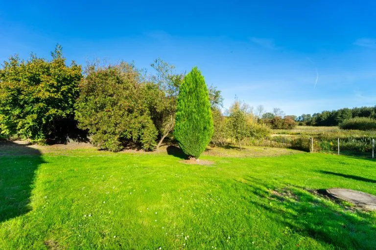 Moellerherm Immobilien - Immobilienangebot - Stolpe - Alle - Raus auf´s Land! Einfamilienhaus mit Weitblick über Felder und Wiesen in Stolpe