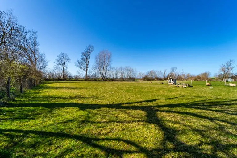 Moellerherm Immobilien - Immobilienangebot - Fehmarn / Wenkendorf - Alle - Idyllisches Wohnen am Knick - Zwei Baugrundstücke (EFH/DHH) mit Vorbescheid in Ostseenähe auf Fehmarn (Wenkendorf)