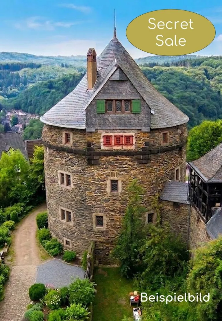 Moellerherm Immobilien - Immobilienangebot - Goslar - Alle - Historische Top-sanierte Burg mit 5 Edel-Apartments im Harz