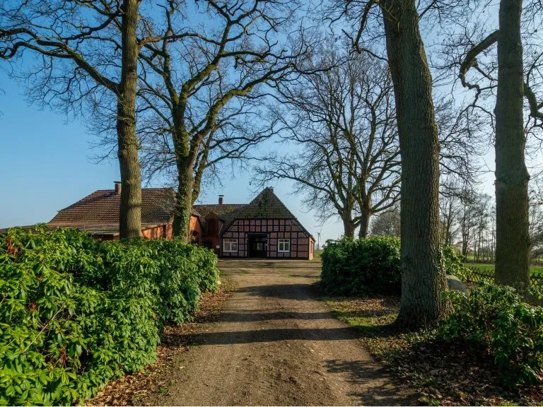 Moellerherm Immobilien - Immobilienangebot - Thedinghausen - Alle - Pferdeliebhaber aufgepasst!  Resthof mit 1,3 ha Land in Thedinghausen