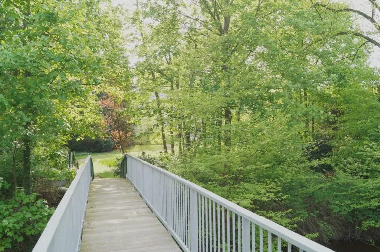 Moellerherm Immobilien - Immobilienangebot - Wentorf - Alle - Ruhe, Komfort und Parkgarten - Sonnige Wohlfühlwohnung mit Südbalkon und Blick ins Grüne