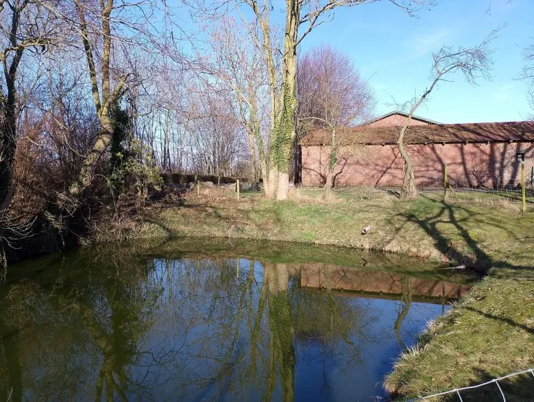 Moellerherm Immobilien - Immobilienangebot - Gelting / Nadelhöft - Alle - Resthof mit Land zur Pferdehaltung