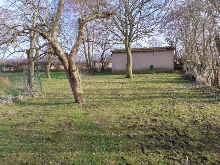 Moellerherm Immobilien - Immobilienangebot - Gelting / Nadelhöft - Alle - Resthof mit Land zur Pferdehaltung