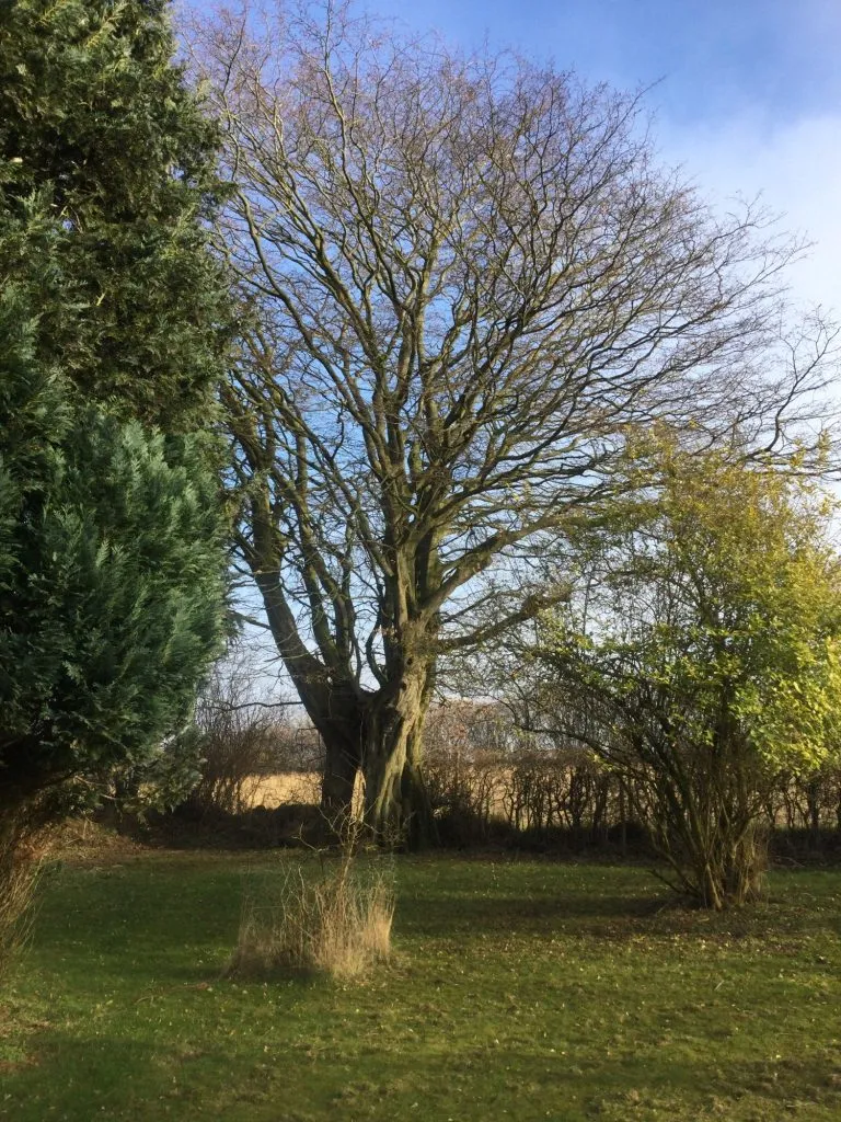 Moellerherm Immobilien - Immobilienangebot - Gelting / Nadelhöft - Alle - Resthof mit Land zur Pferdehaltung