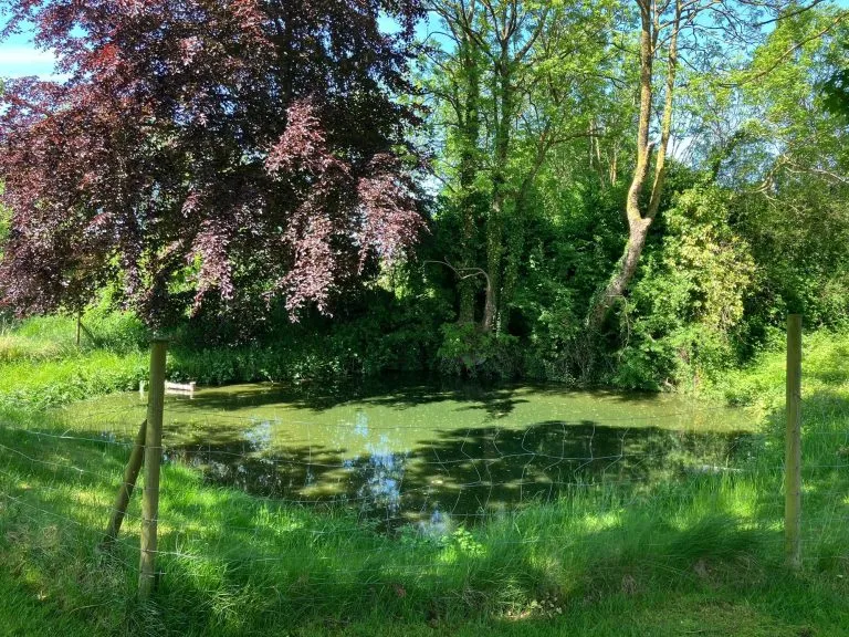 Moellerherm Immobilien - Immobilienangebot - Gelting / Nadelhöft - Alle - Resthof mit Land zur Pferdehaltung