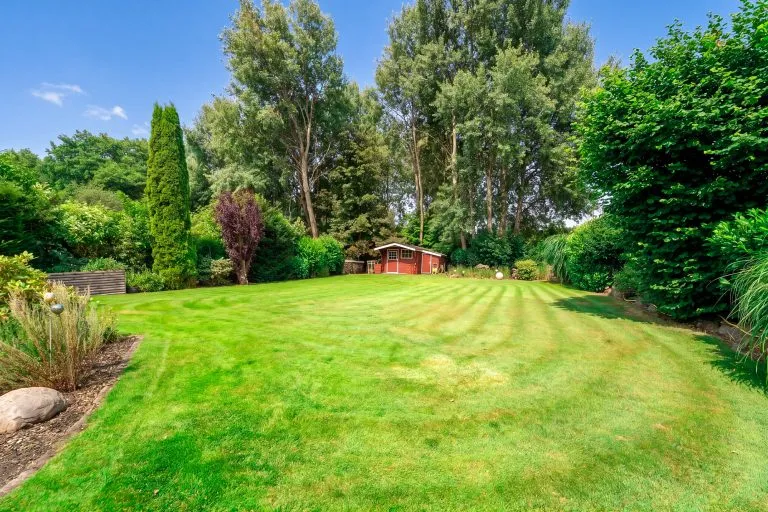 Moellerherm Immobilien - Immobilienangebot - Herrnburg - Alle - Ein Zuhause zum Ankommen und Wohlfühlen – Gepflegtes Einfamilienhaus in naturnaher Lage von Herrnburg