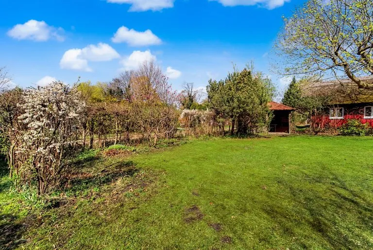 Moellerherm Immobilien - Immobilienangebot - Dierhagen Ost - Alle - Großes Grundstück mit Altbestand in begehrter Ostsee Nähe von Dierhagen-Ost