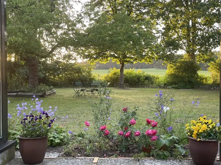 Moellerherm Immobilien - Immobilienangebot - Bad Bodenteich - Alle - Gepflegter Bungalow auf außergewöhnlichem Grundstück mit freiem Blick über die Felder zum Wald